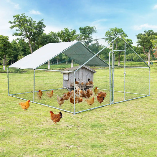 Walk-In Chicken Coop 13x13 with waterproof cover and chain-link enclosure, chickens in yard on Tampa Home & Garden Store