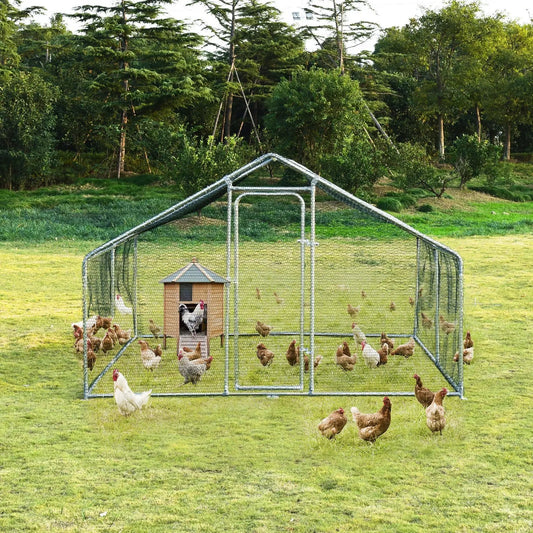 Large walk-in shade cage chicken coop with roof; galvanized steel frame and wire mesh on Tampa Home & Garden Store