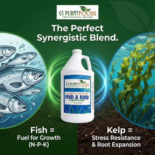 Fish and Kelp Liquid Fertilizer bottle from GS Plant Foods, label with fish & kelp on backdrop on Tampa Home & Garden Store