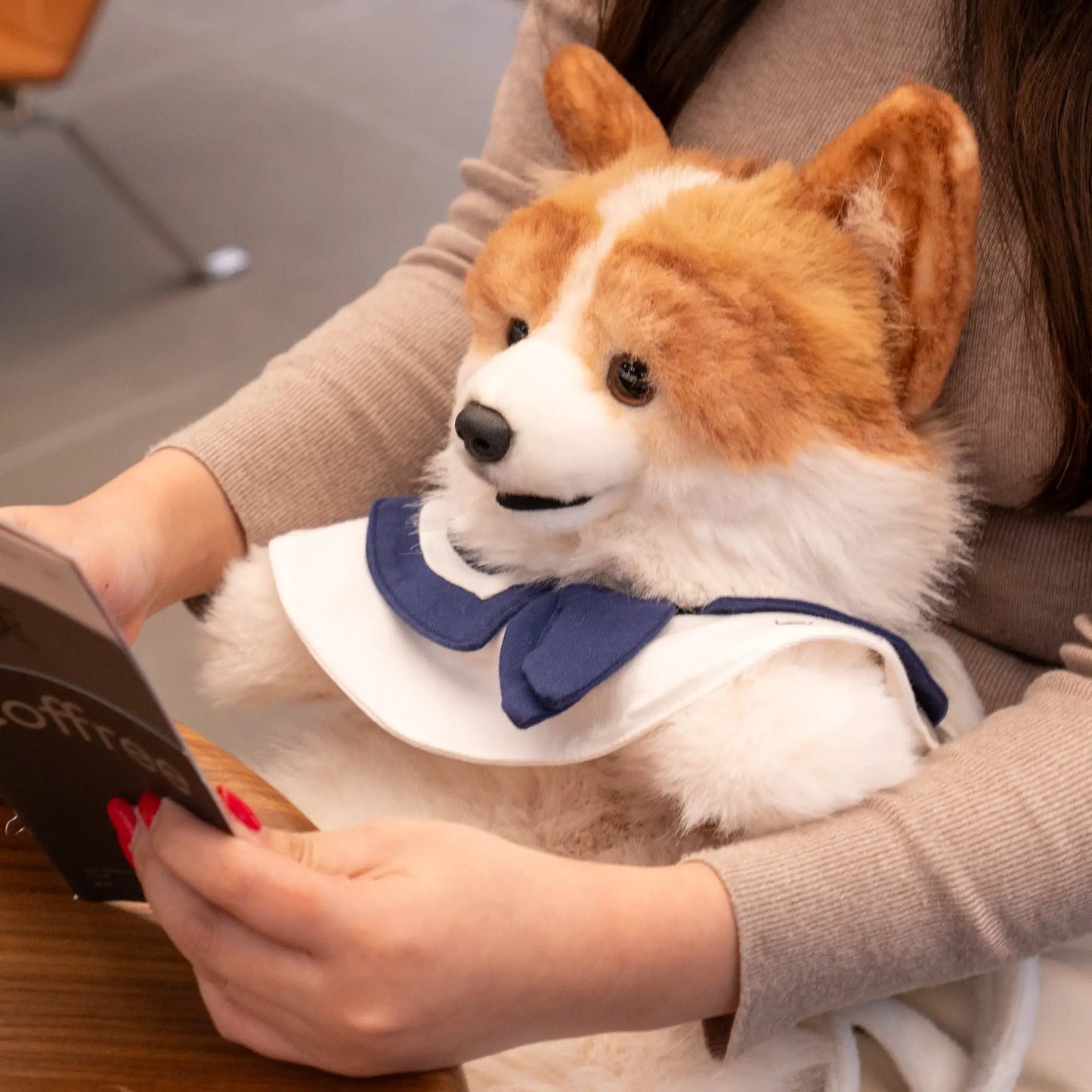 Corgi Backpack for Kids and Pet Fans by Chongker, orange-white plush with blue trim on Tampa Home & Garden Store