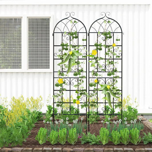 2-pack 71x20 inch metal garden trellises with arch top and decorative scrollwork, black finish for climbing plants on Tampa Home & Garden Store