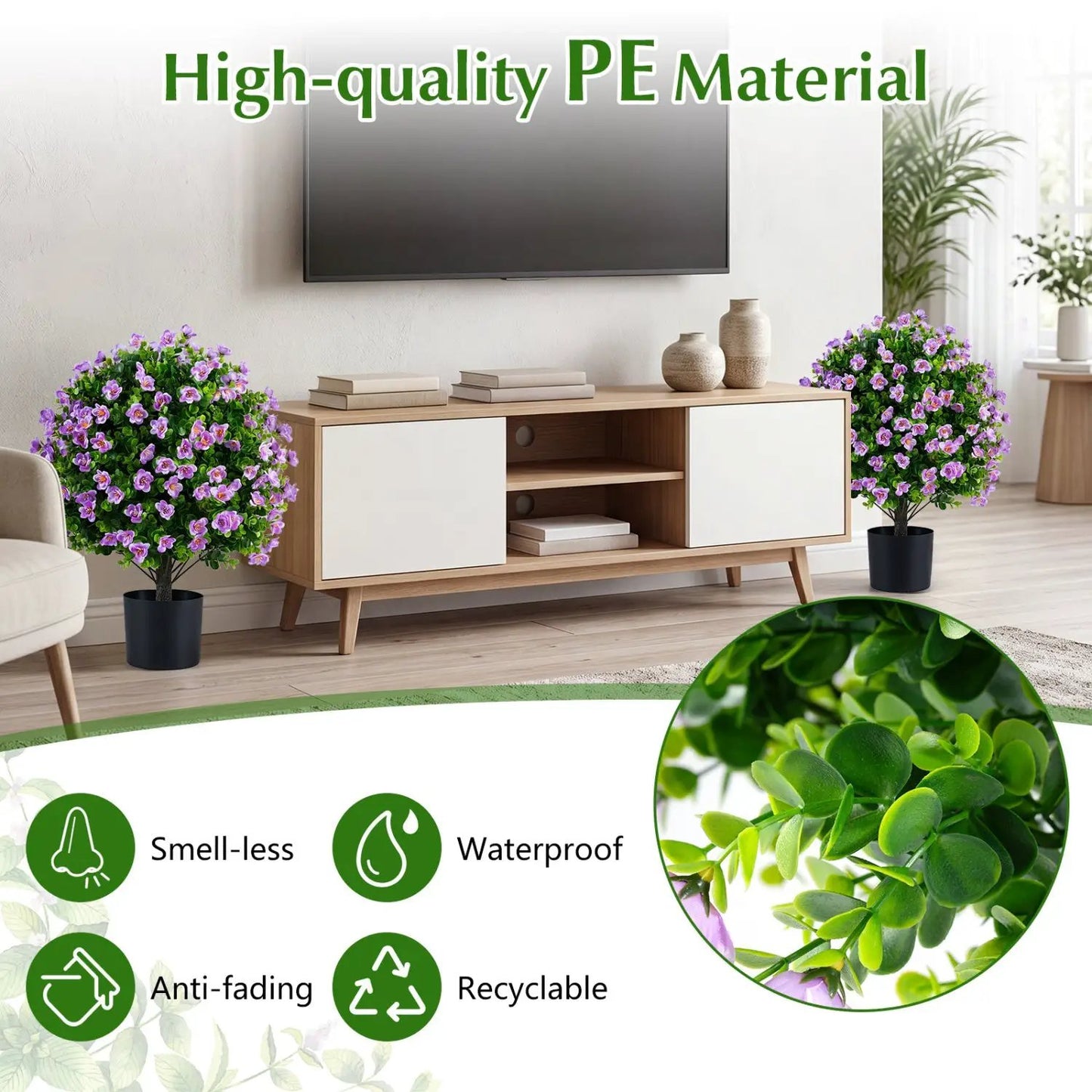 Eucalyptus Topiary Trees With Cement Planter