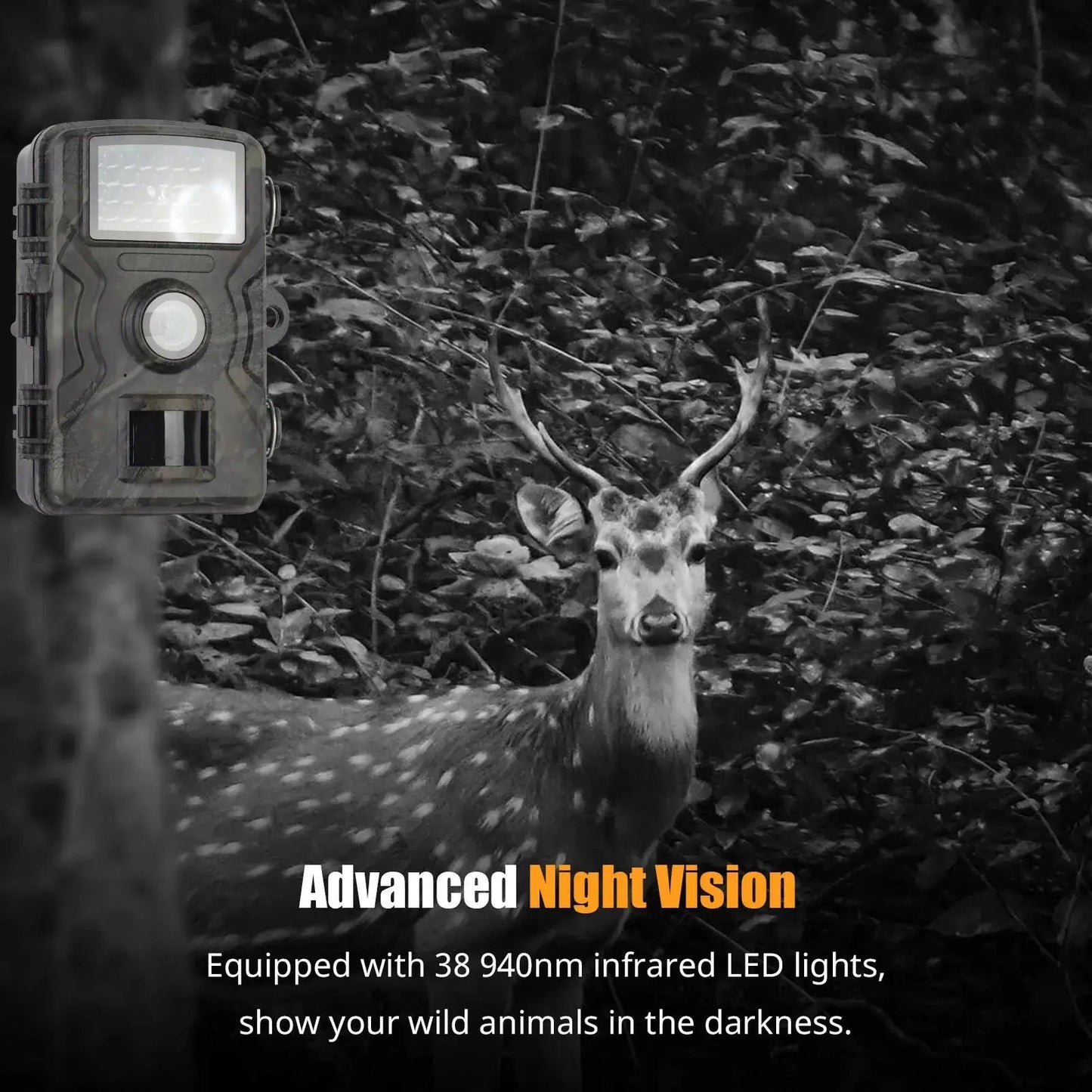 Trail camera Moktan Sabai 1080P, 16MP night vision, IP66 waterproof camouflage housing on Tampa Home & Garden Store