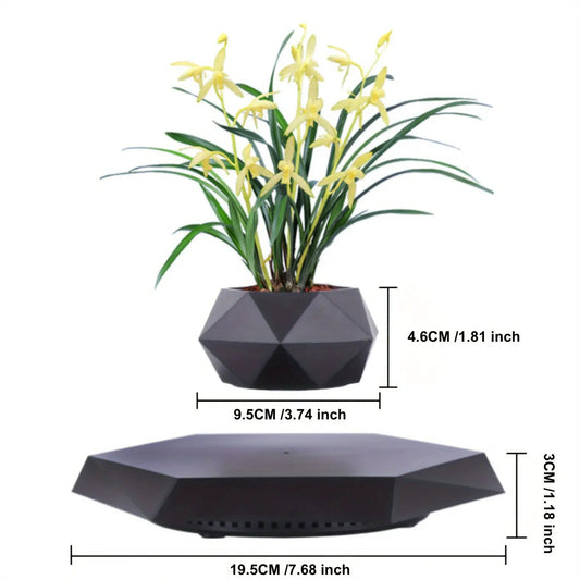 Magnetic Levitating Plant Pot with floating bonsai in geometric black planter Moktan Sabai on Tampa Home & Garden Store
