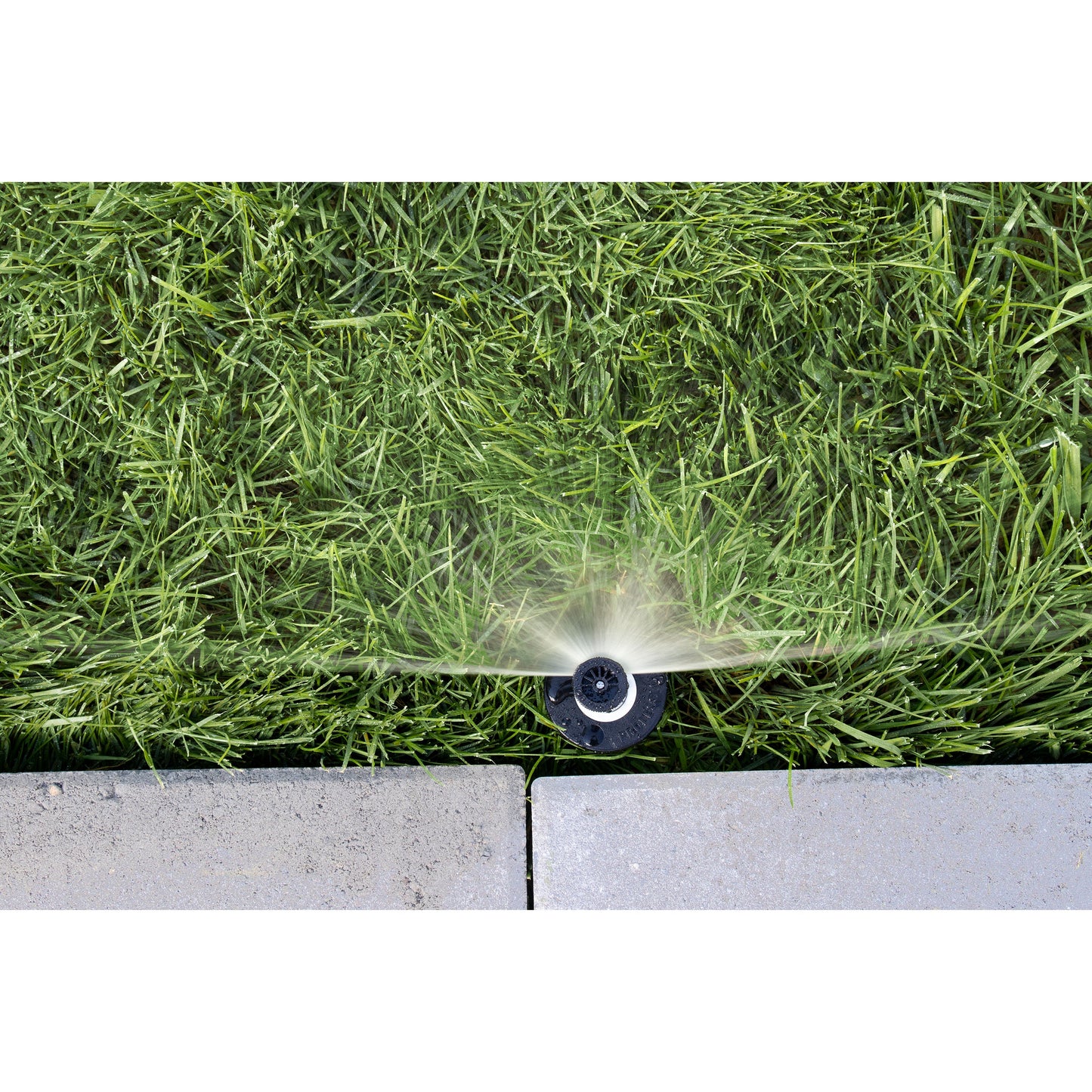 3" Professional Spray Head w/Half Nozzle 54336
