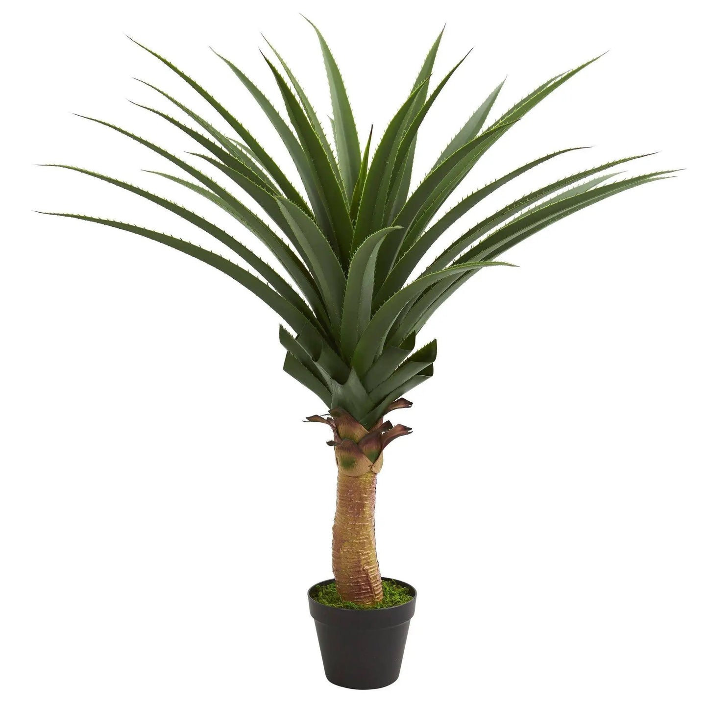 3.5-foot agave artificial plant in black pot with moss on Tampa Home & Garden Store