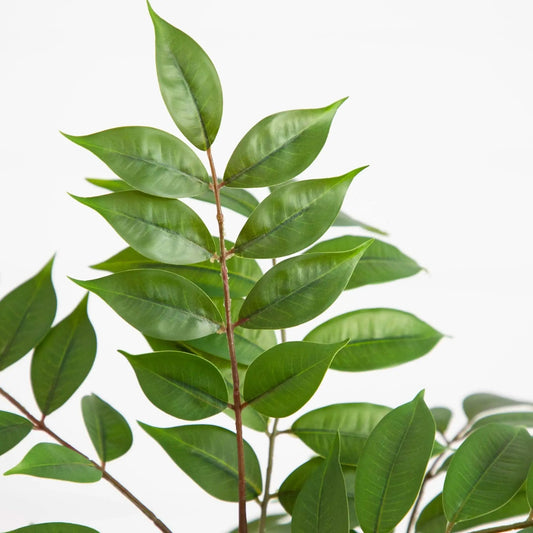 Artificial Sumac Tree with Realistic Leaves, green glossy leaves on brown stem on Tampa Home & Garden Store