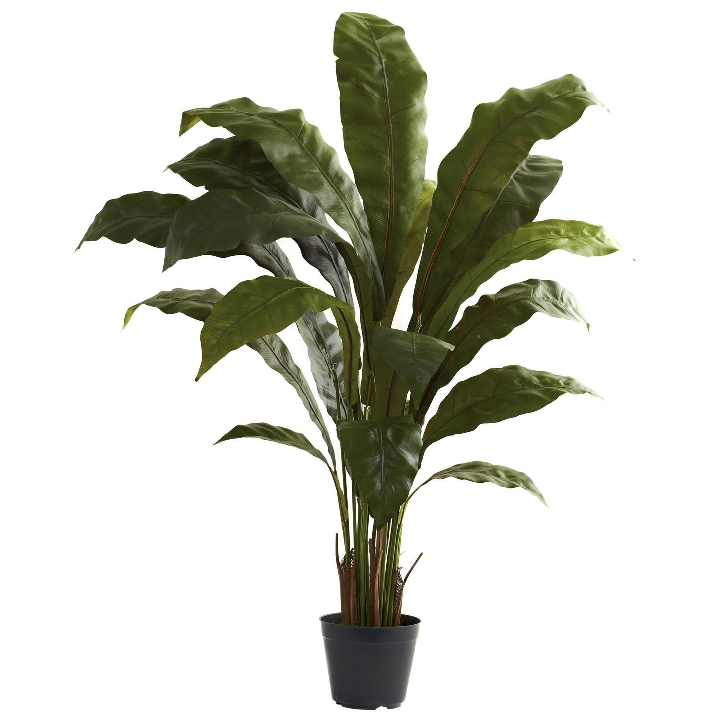 Birdsnest Plant in Pot 3.5 ft Nearly Natural artificial with large glossy green leaves in black pot on Tampa Home & Garden Store