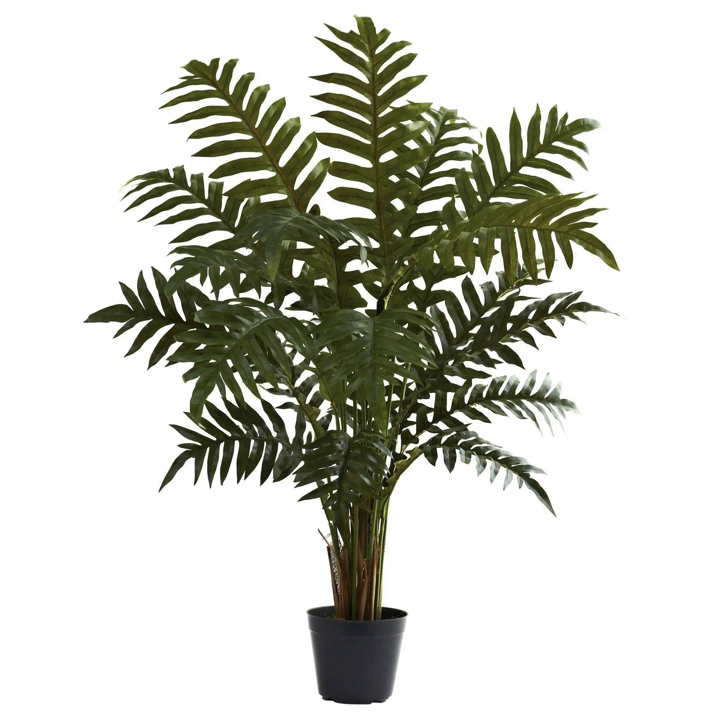 Evergreen Plant Decor 42-Inch Faux Palm artificial tree by Nearly Natural in black planter on Tampa Home & Garden Store