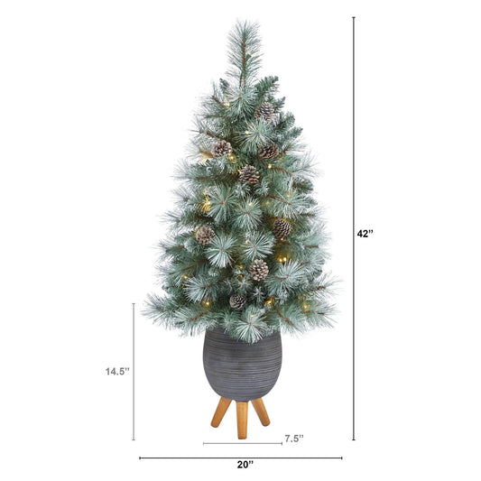 Frosted Tip Mountain Pine Christmas Tree with pinecones in a textured dark pot on Tampa Home & Garden Store