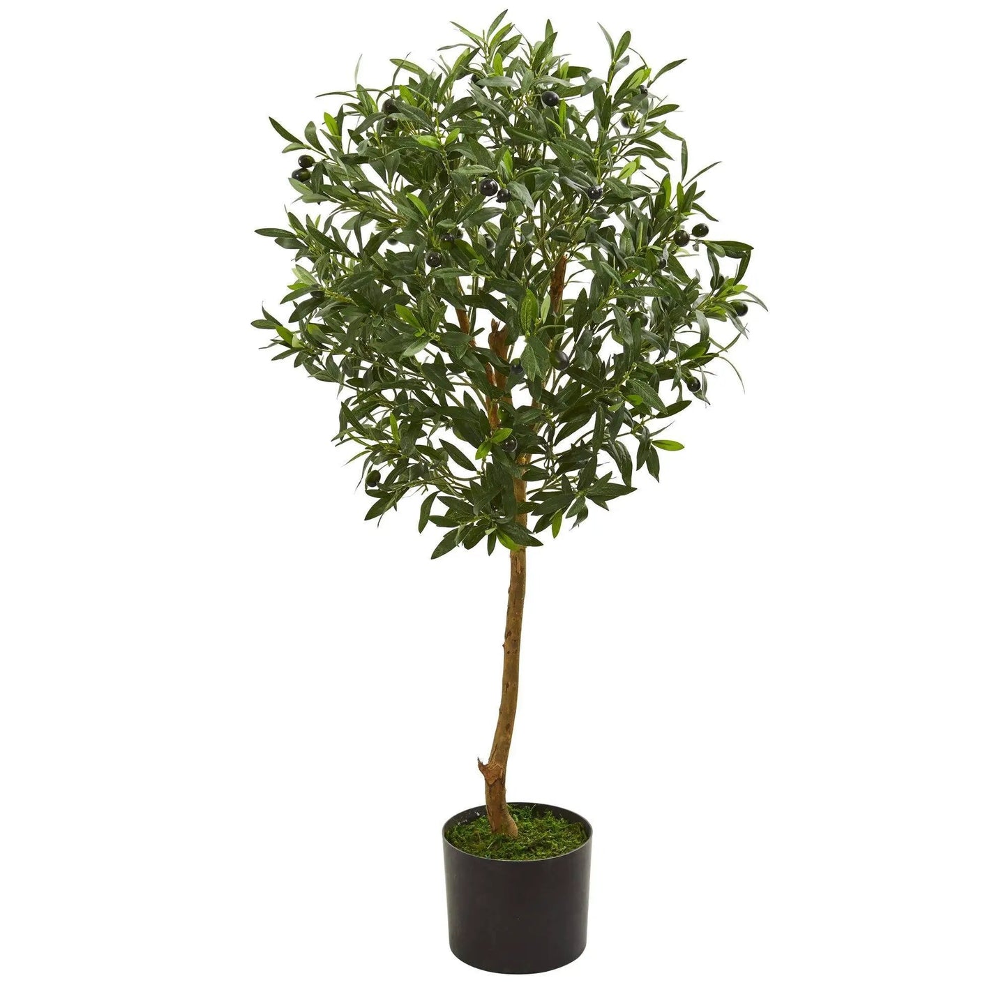 3.5 ft Olive Artificial Tree by Nearly Natural in a black nursery planter with olives on Tampa Home & Garden Store