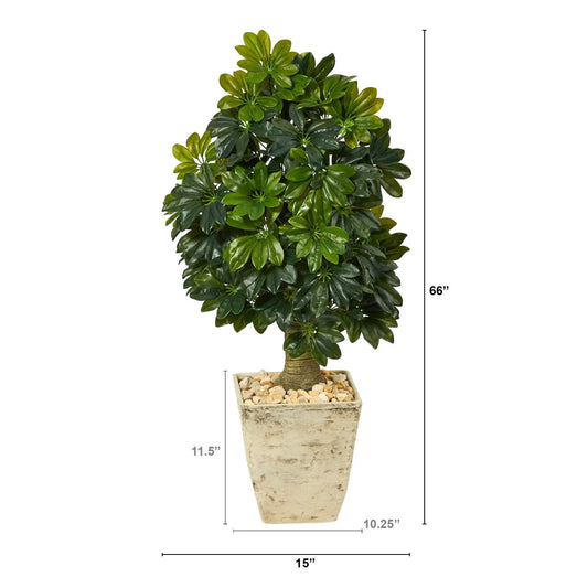Schefflera artificial tree in white planter with decorative rocks, 66in tall on Tampa Home & Garden Store