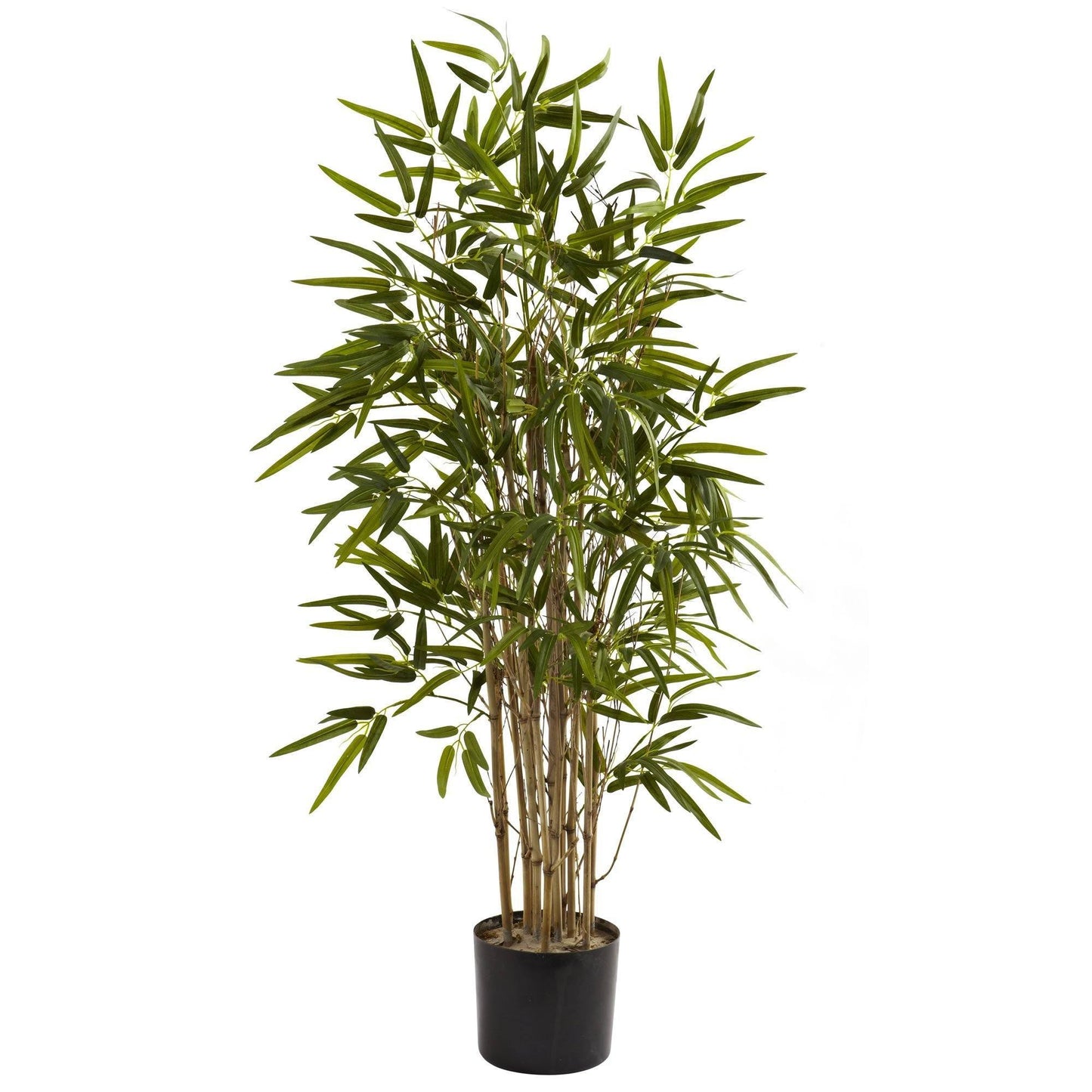3.5' Twiggy Bamboo Tree - Tampa Home & Garden Store