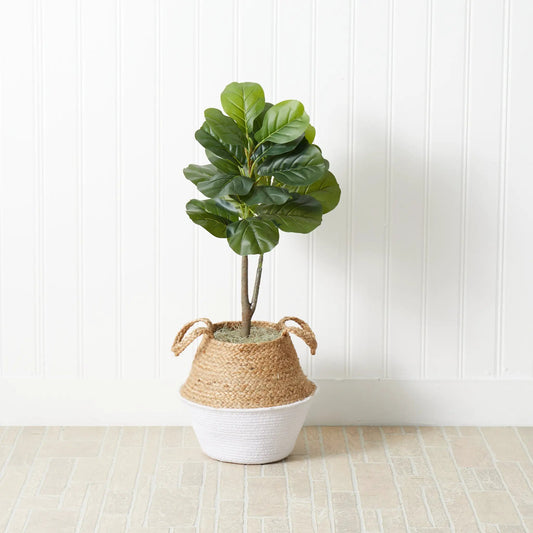 3 ft fiddle leaf fig tree DIY kit in a natural woven basket with lush green leaves on Tampa Home & Garden Store