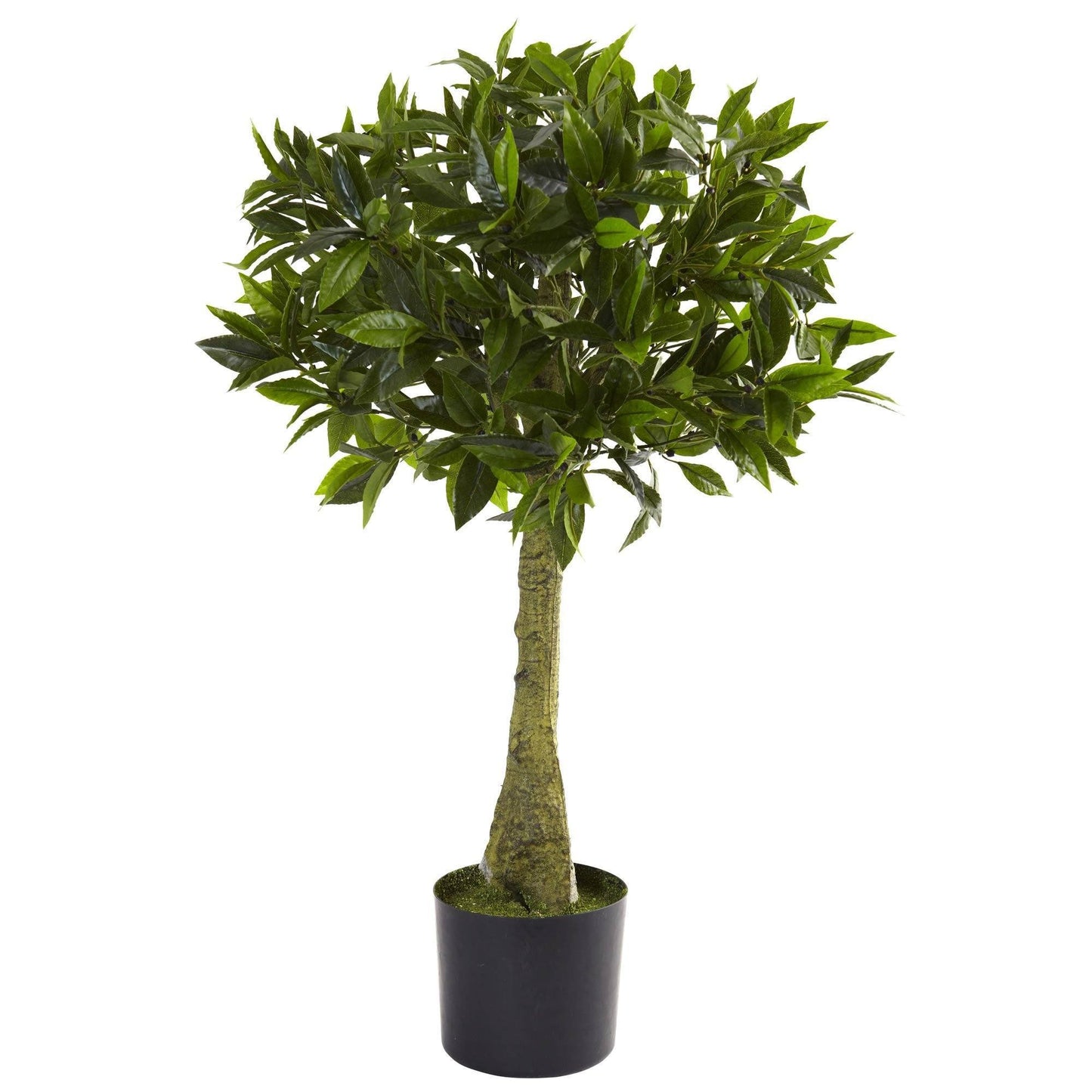 3' Bay Leaf Topiary UV Resistant (Indoor/Outdoor) - Tampa Home & Garden Store