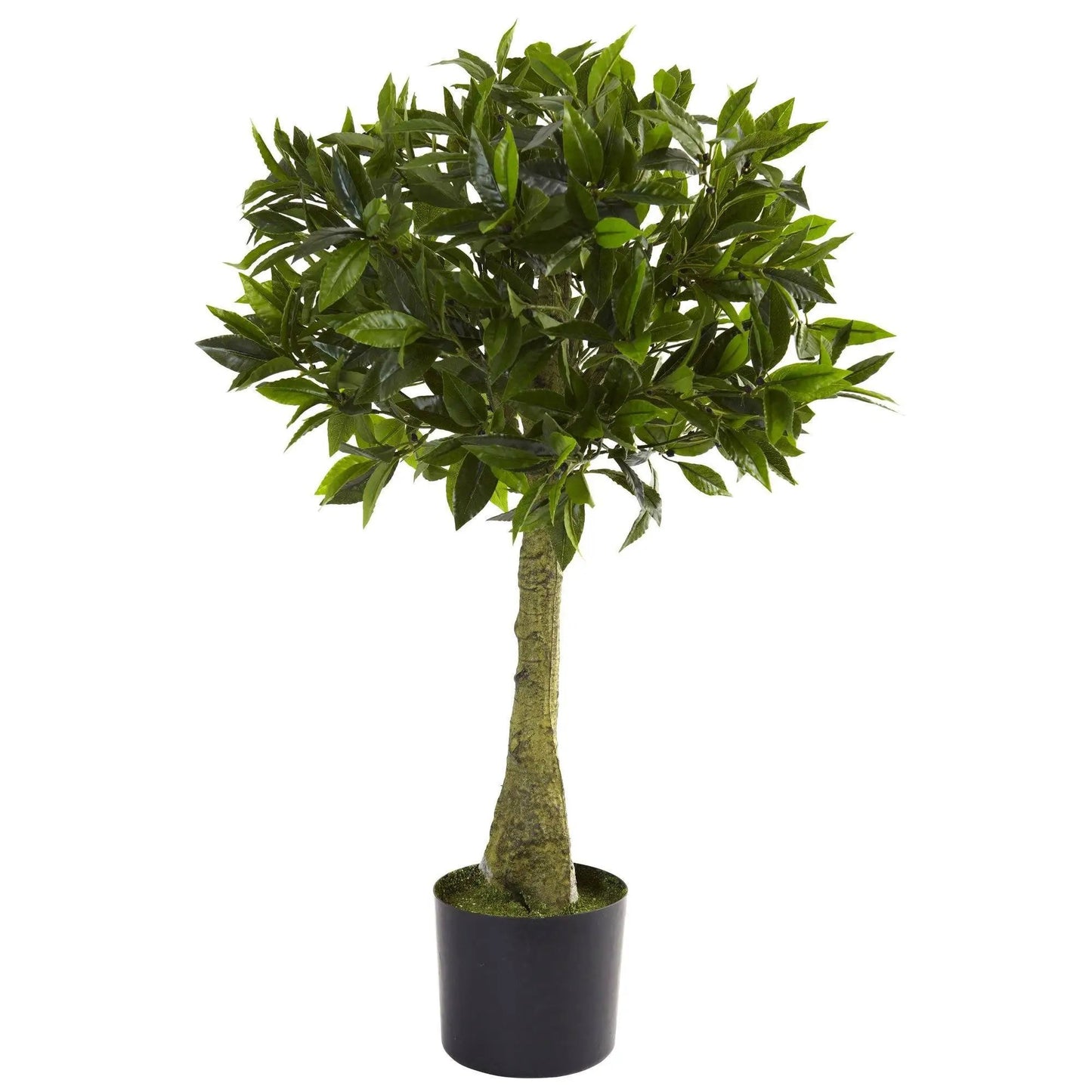 Artificial Bay Leaf Topiary 3 ft with glossy green leaves in pot UV resistant Indoor/outdoor on Tampa Home & Garden Store