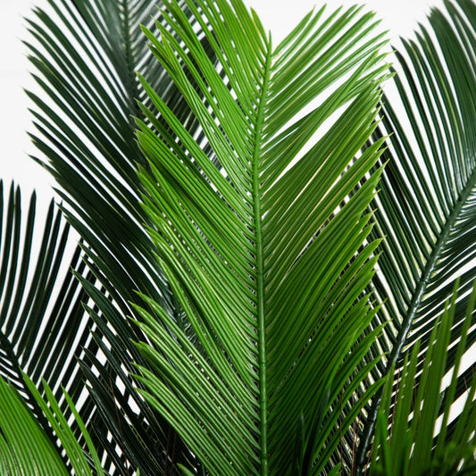 3 ft Cycas Palm Tree artificial UV resistant indoor outdoor with green fronds on Tampa Home & Garden Store