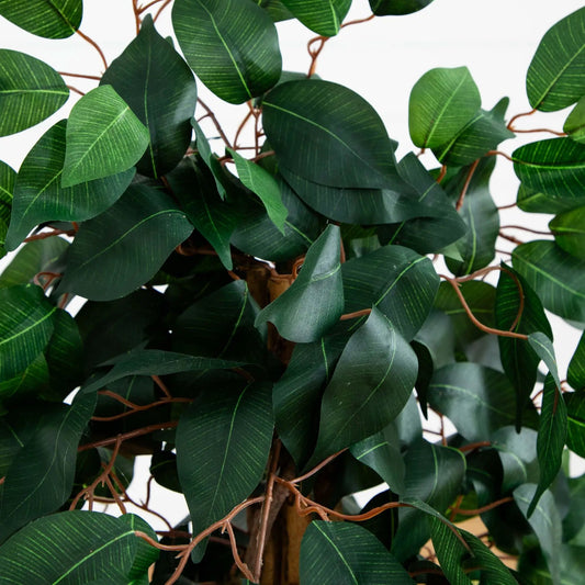 Three Foot Ficus Silk Tree artificial ficus with dark green leaves and brown stems on Tampa Home & Garden Store