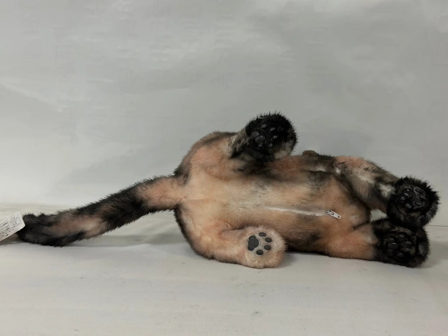 Plush tortoiseshell life-size cat memorial by Chongker, beige-black fur, paw pads on Tampa Home & Garden Store