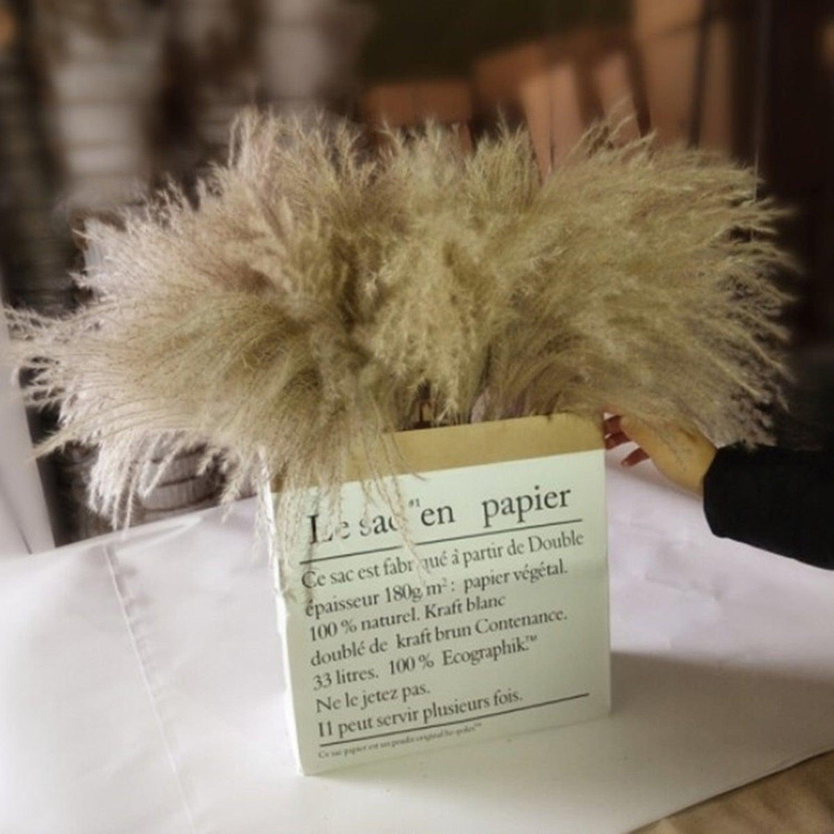 Natural dried pampas grass stems in beige tones, Stevvex home decor bundle on Tampa Home & Garden Store