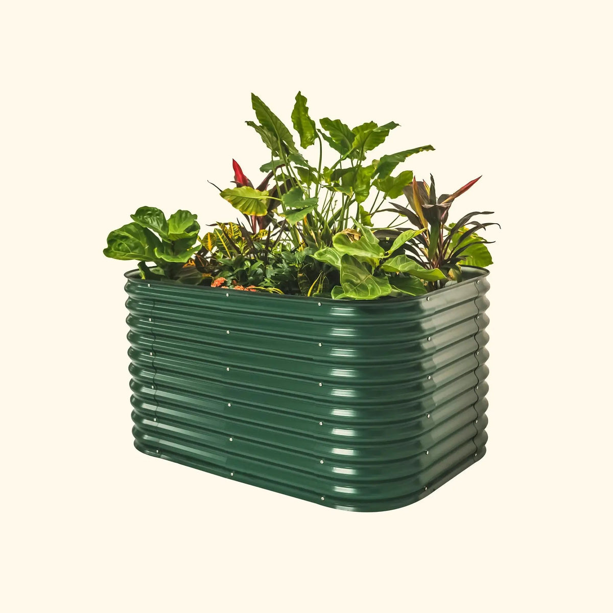 4x8x32 garden bed kit with soil and fertilizer in a green corrugated metal raised bed on Tampa Home & Garden Store