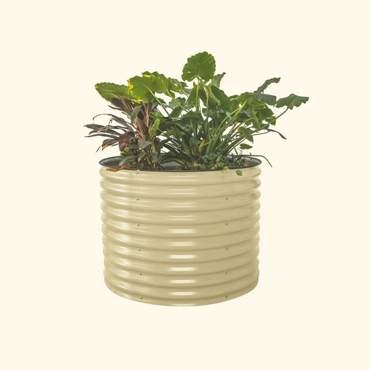 Round Garden + Soil + Fertilizer Kit plant in beige ribbed planter with lush green leaves on Tampa Home & Garden Store