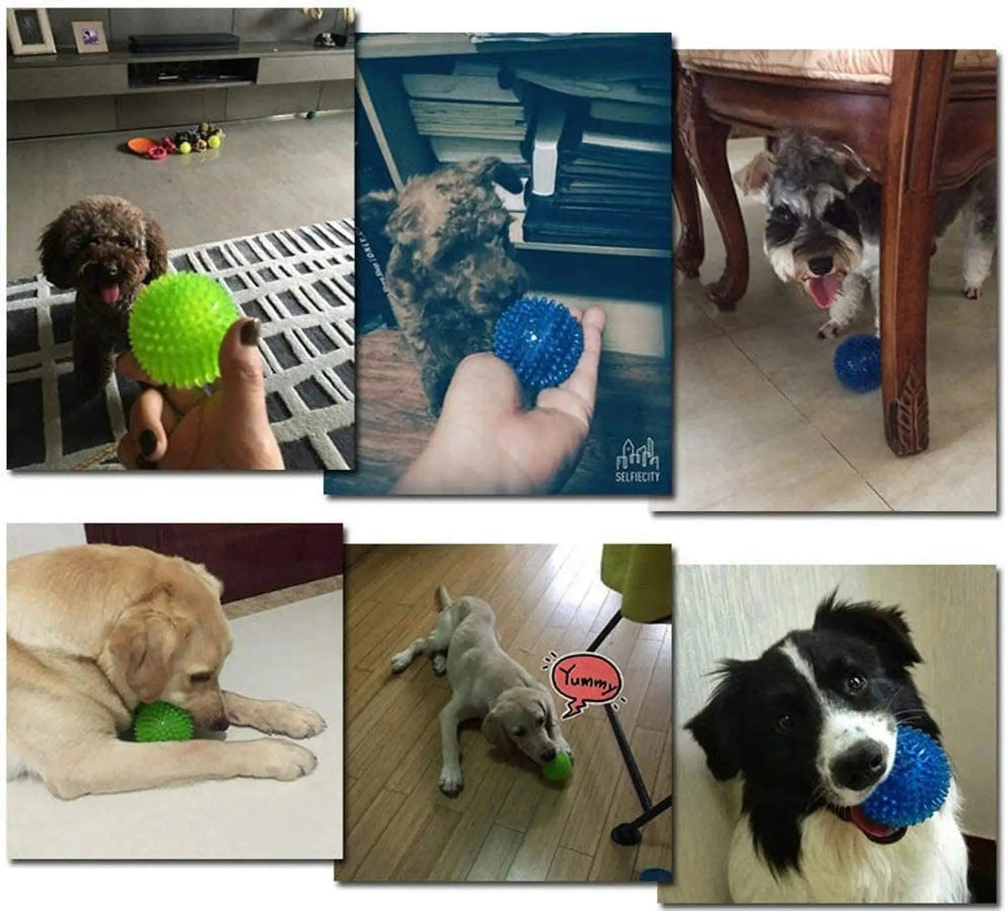 Durable Dog Toy Ball with Squeaker – Teeth Cleaning, Chew-Resistant, High Bounce Toy for Medium Dogs - Tampa Home & Garden Store