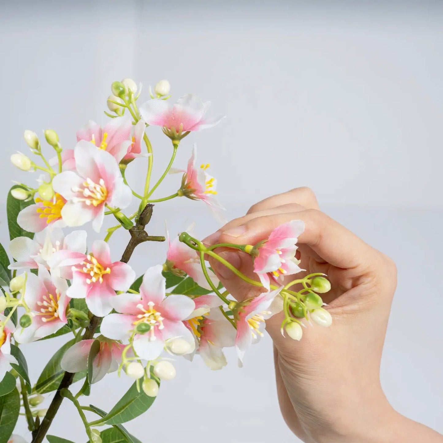 Impatiens Tree 36 Inch with Flowers Pink