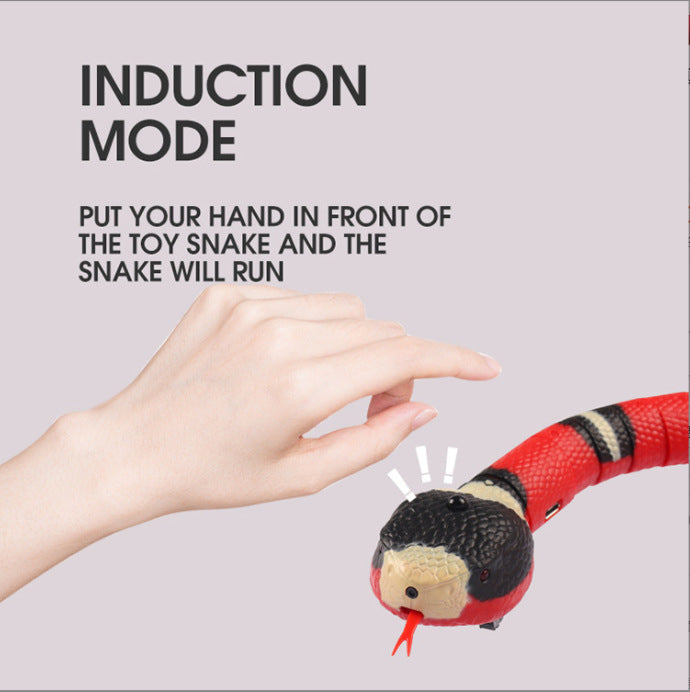 Interactive Electric Induction Snake cat toy, red and black textured body on Tampa Home & Garden Store