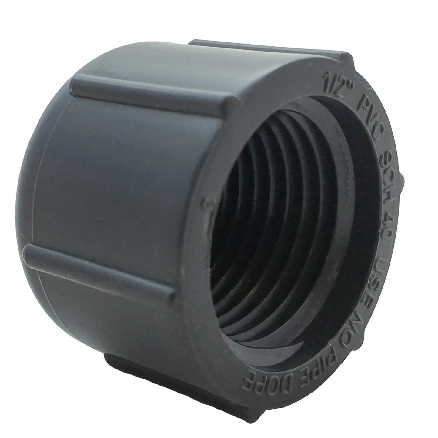Orbit Irrigation half-inch FPT cap for risers, UV resistant PVC, black on Tampa Home & Garden Store