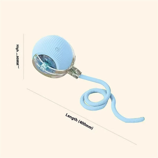 Electric cat toy ball with blue ribbed shell, clear chamber, power button, attached leash on Tampa Home & Garden Store