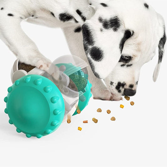 Turquoise studded dog ball with transparent center for slow-feed treats; dog sniffing kibble on Tampa Home & Garden Store