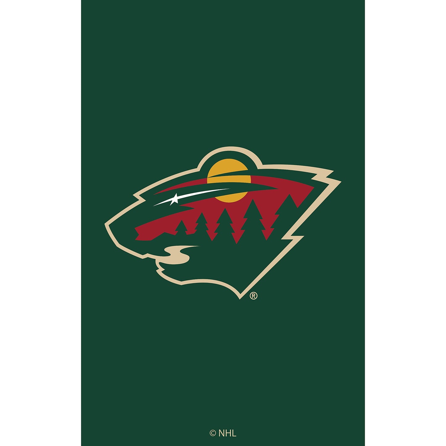 Minnesota Wild applique house flag in dark green with bottom logo graphic on Tampa Home & Garden Store