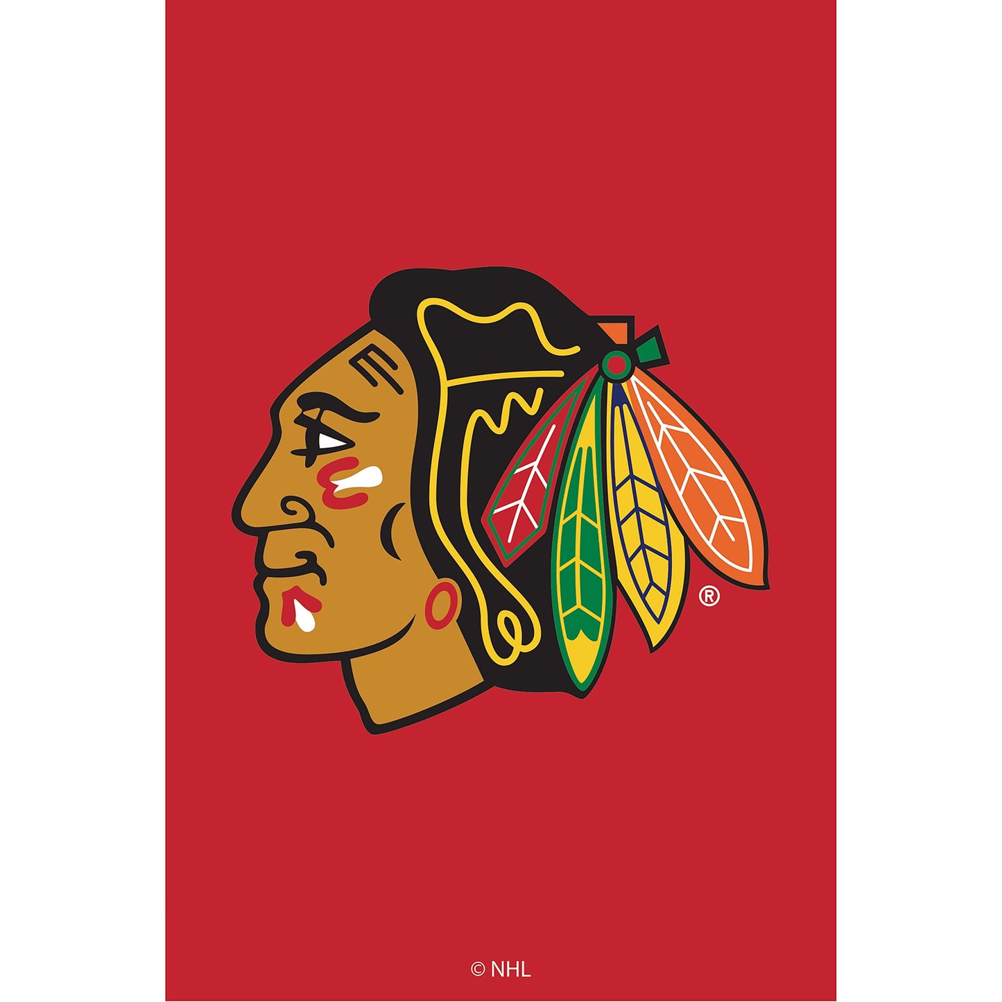 Chicago Blackhawks applique house flag red backdrop with partial logo on Tampa Home & Garden Store