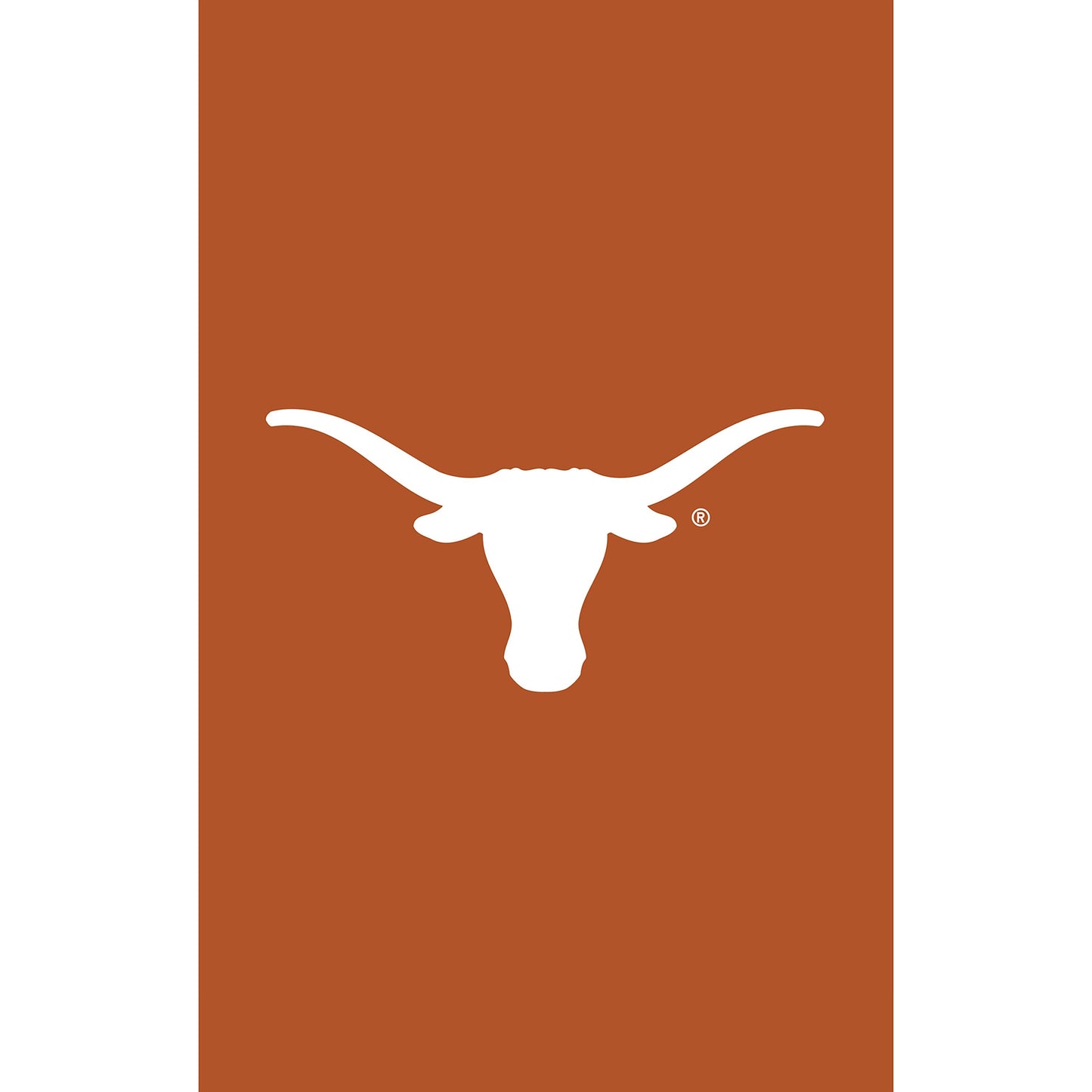 University of Texas Applique House Flag orange background white longhorn Evergreen Enterprises on Tampa Home & Garden Store
