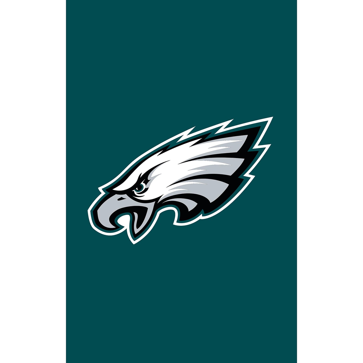 Philadelphia Eagles applique house flag teal background with eagle logo by Evergreen Enterprises on Tampa Home & Garden Store