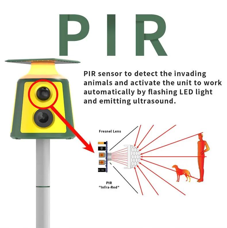Solar Powered Ultrasonic Pest Repeller yellow/green housing mounted on a pole on Tampa Home & Garden Store
