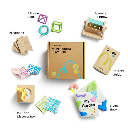 Brain & Hands Playset Montessori Box with silicone block, cube, and rainbow spinner on Tampa Home & Garden Store