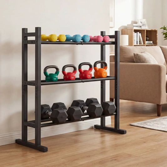 DirectDeals 3-Tier Dumbbell Rack, black metal frame with 529 lb capacity and colorful dumbbells on Tampa Home & Garden Store