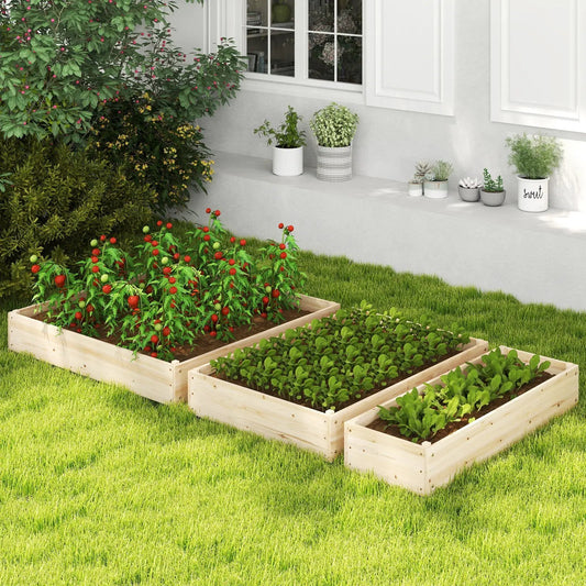 3-Tier Raised Garden Bed with Lattice Trellis in wood, tomatoes and greens by a white house on Tampa Home & Garden Store