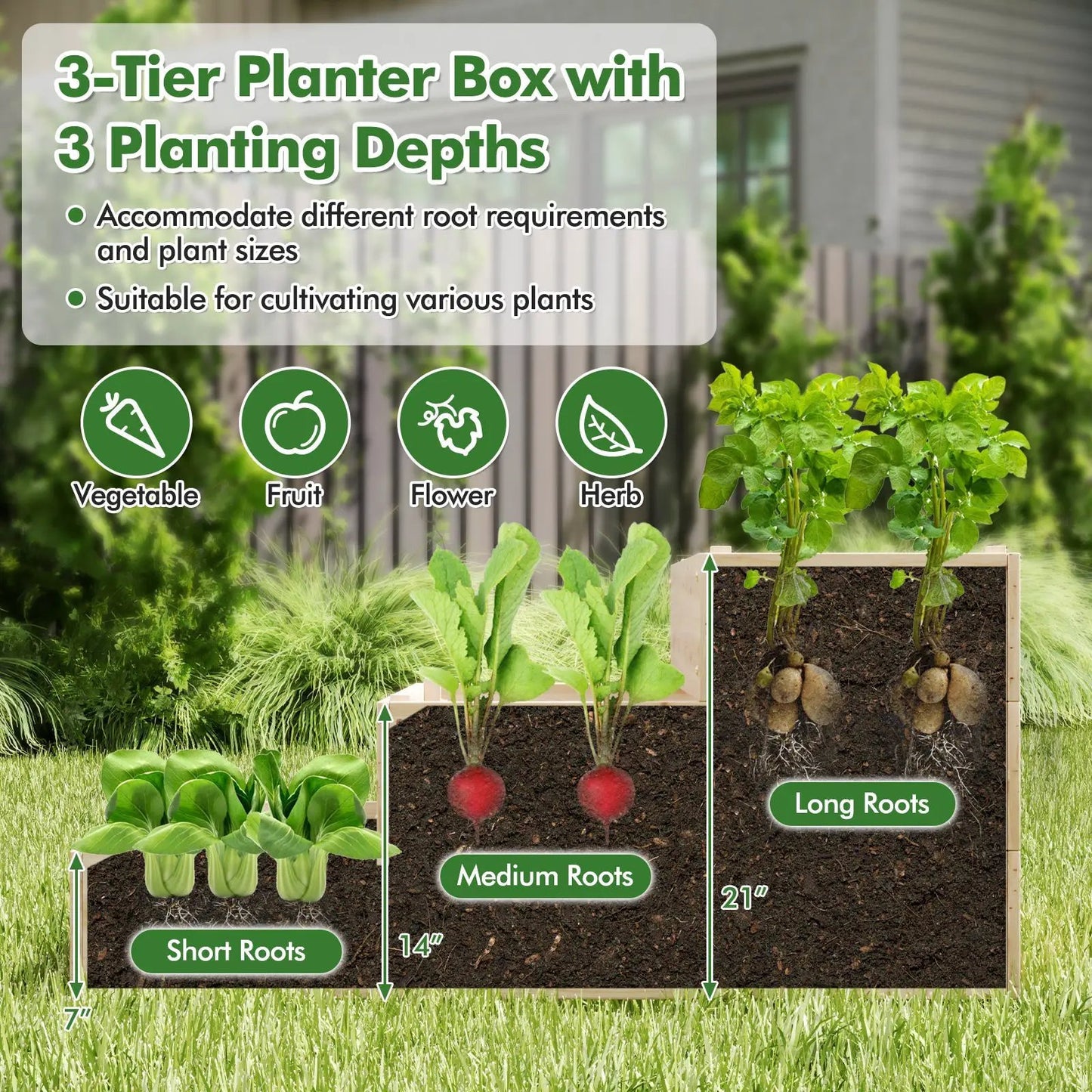 3-Tier Raised Planter with lattice trellis for vegetables, fruits, herbs on Tampa Home & Garden Store