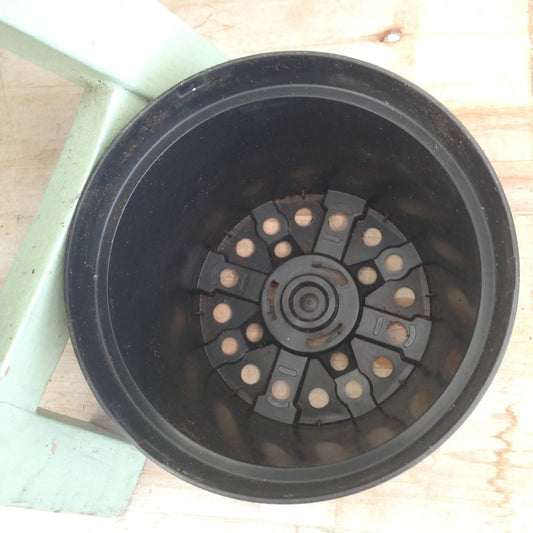 4 Inch Growing Pot Seedlings and Cuttings, black plastic pot with seedling insert on Tampa Home & Garden Store