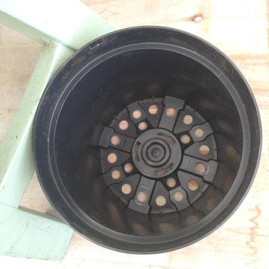 4" Growing Pot - Tampa Home & Garden Store