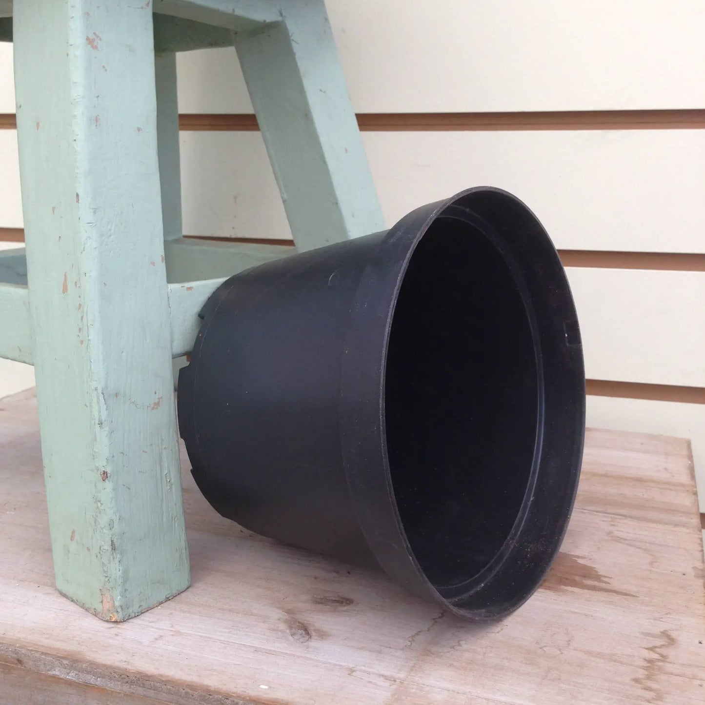 Black 4-inch growing pot seedling container beside a distressed mint-green wooden shelf on Tampa Home & Garden Store