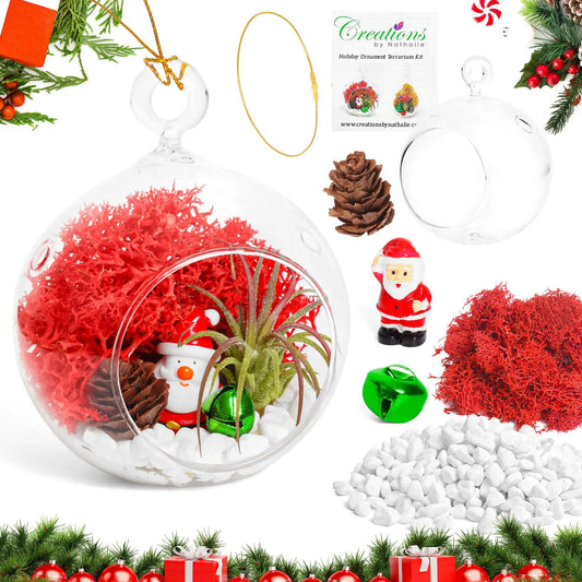 Holiday Ornament Terrarium Kit glass globe with succulents and red moss decorations on Tampa Home & Garden Store