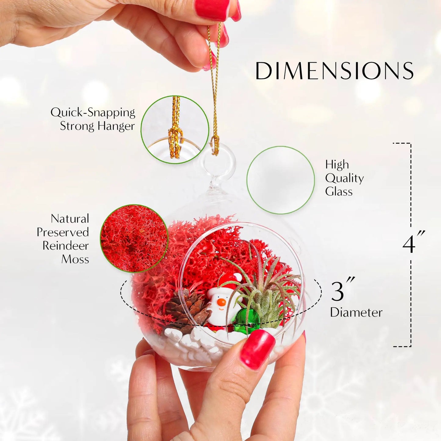 Holiday ornament terrarium kit in a glass globe with gold hanging cord and red preserved moss on Tampa Home & Garden Store
