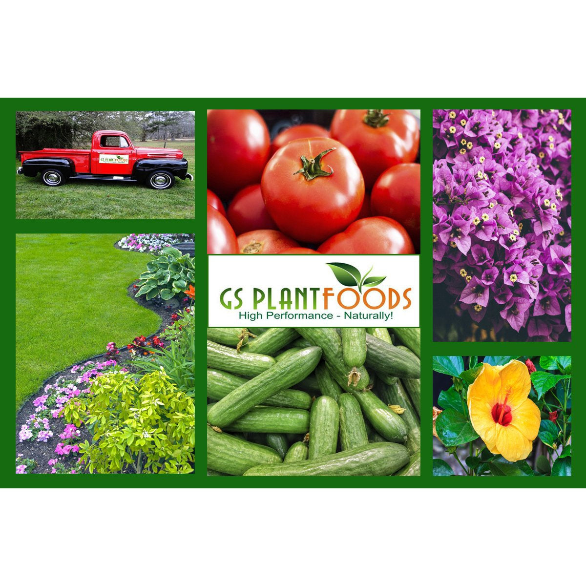 Organic yucca extract fertilizer collage by GS Plant Foods with tomatoes and cucumbers on Tampa Home & Garden Store
