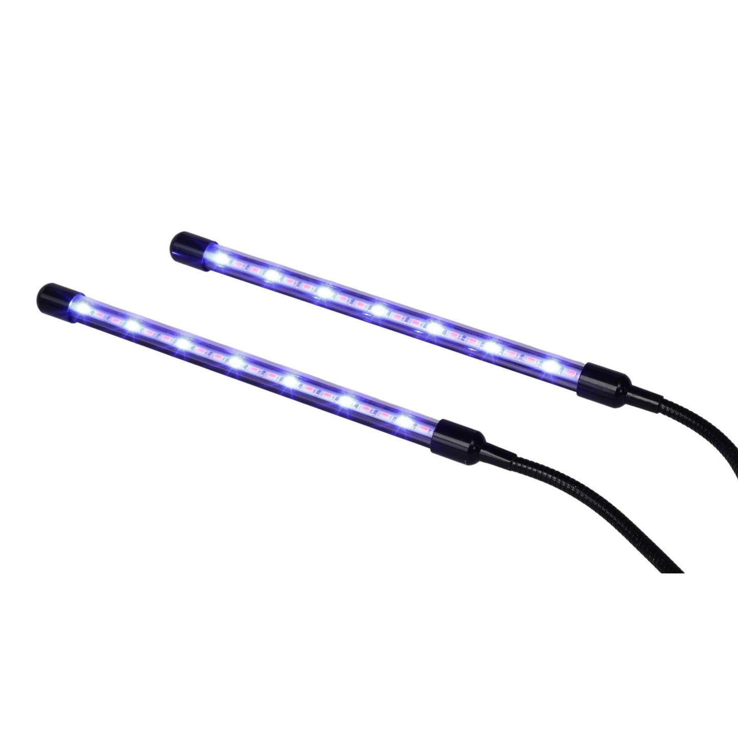 Kit de 1010 microvegetales