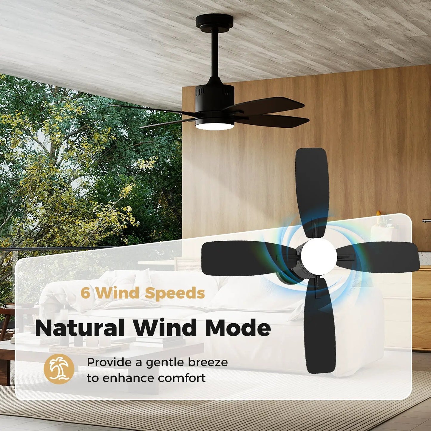 42-inch black ceiling fan with integrated light and remote on Tampa Home & Garden Store