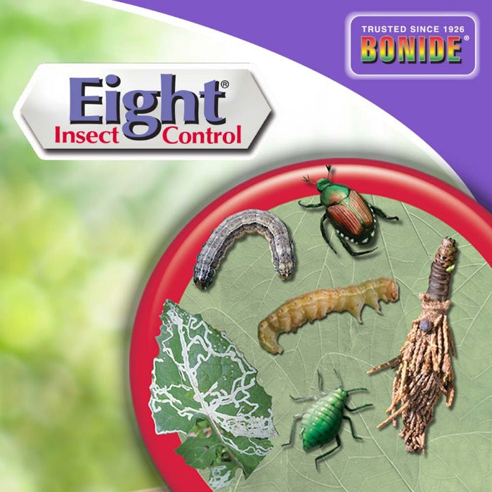 Bonide Eight Insect Control spray concentrate with insect art on a green leaf disc on Tampa Home & Garden Store